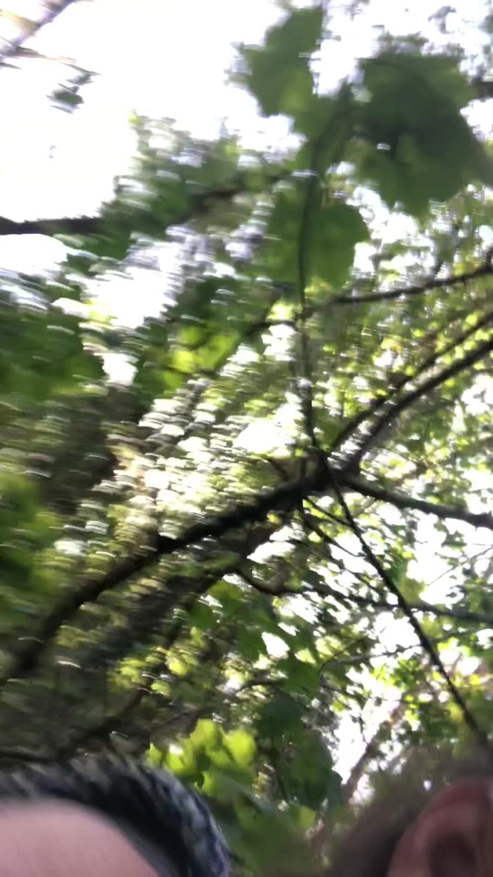 Pissing Paradise: Oh tidak! Saya memerlukan kencing itu di tempat luar!