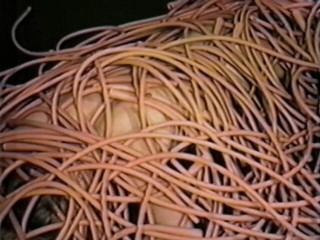 Tribal Male Retro 1970s Gay Films: Black on red part 3