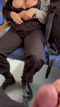 Stranger Showed Me His Dick in Train