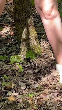 Caught Hiking Naked & Masturbating in the Forest