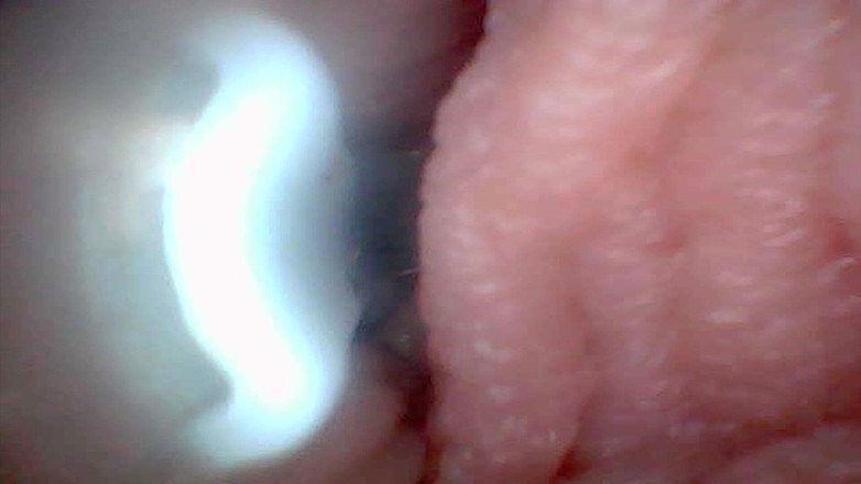 Twittiy: Låt oss ta en titt in i min saftiga fitta...