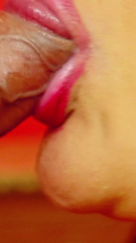 Nerdy Close up Blowjob