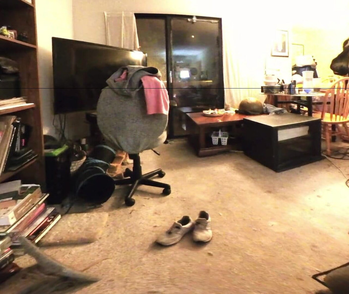 J13D75 VR: Cewek hot rambut pirang ini nggak berhenti hamil waktu pacarnya...