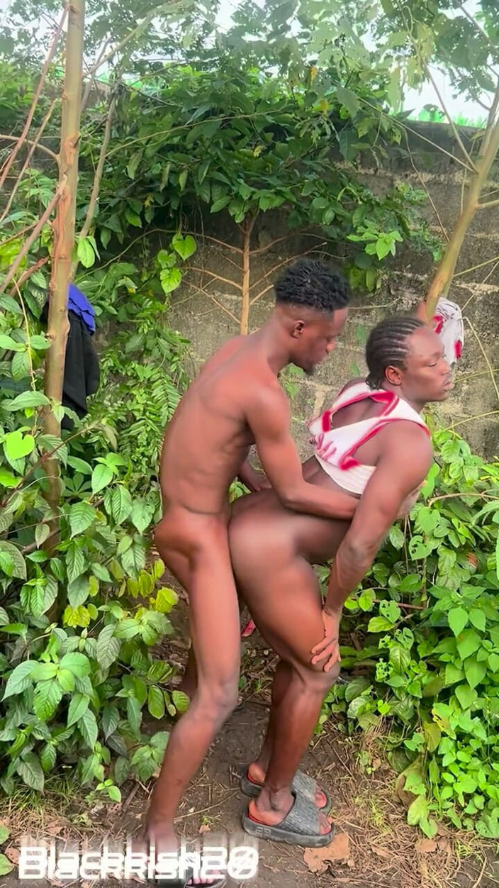 Blackkish20: Having Fun in the Presence of Nature