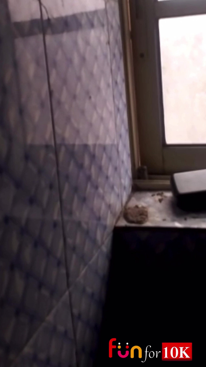 Funfor10k gay videos: Han Sa Att Han Ville Ha En Het Knull På...