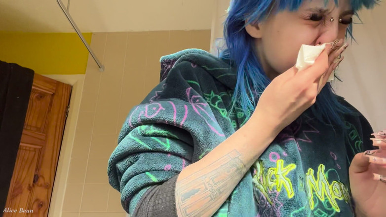 Alice Bean: Hayfever Honks