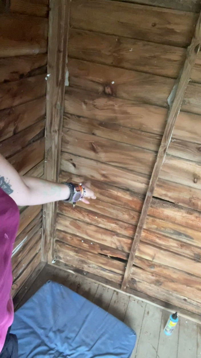 Pissing Paradise: Pisciare all'aperto come sono stato sorpreso a fare diy nel...