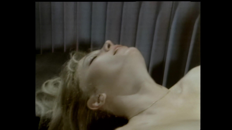 Vintage megastore: A Big Black Cock for the Blonde Hairy Pussy of...