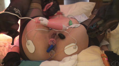 BDSM_HENTAI-ch: 일본 노예돌 훈련 vol.052