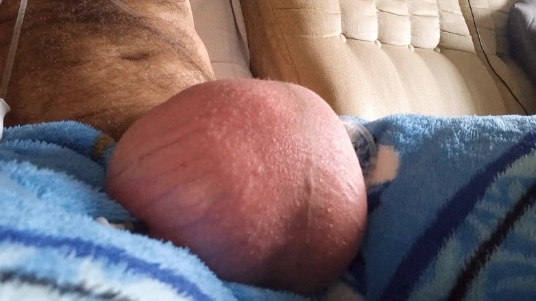 Lion big balls: Palle saline