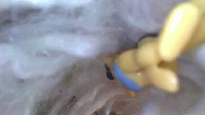 Maeling: Tiny Gay Lover Stuffed in Oily Anal - Giantess Ass 