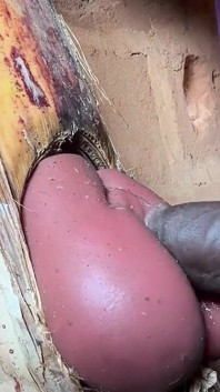 The Prisoner Find Hard Way to Sex