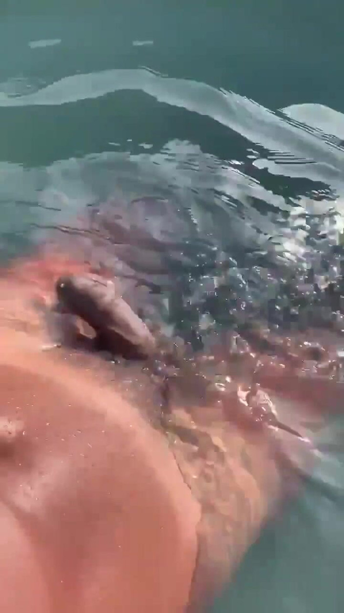 Vida Noite: Escuchando audio gooning en la piscina y masturbándose