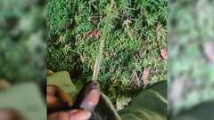 NewDickInTown: Small Penis College Boy Pissing Outdoor Teen pissing , naked , Sri...