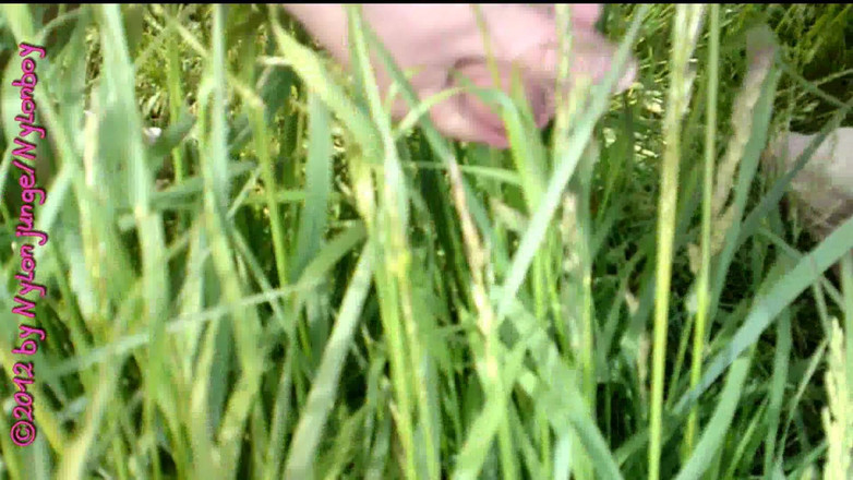 Carmen_Nylonjunge: ついに裸(ジャークオフ) - パート2