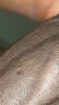 Chocolatemeatstick Close up on BBC