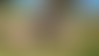 Locked due to age restriction