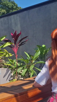 Ngentot cewek polos rambut merah di taman
