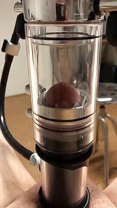 严肃的套件挤奶