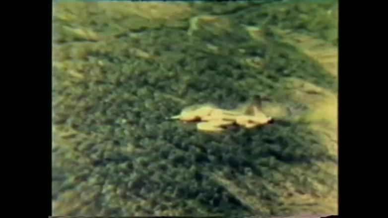 The Unforgettable: Chlípná postel