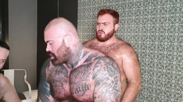 Beefy niedźwiedzie czwórka