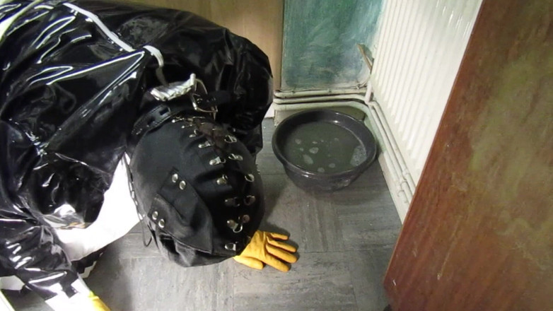 Lilly Disgrace: Inutile sissy scrubsy sporco pavimento