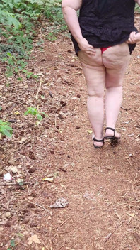 Walk in the Woods Who I Meet Today