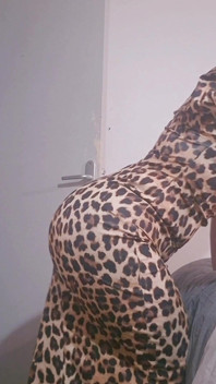 Cuckoo From Your Favorite Tigress