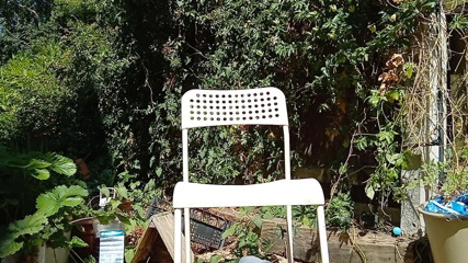 Rockardglans: Rockardglans sunbathing naked an cumming for neighbors