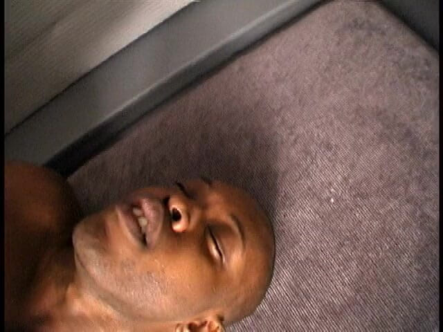 Papi Cock: Piacere &amp; tyric