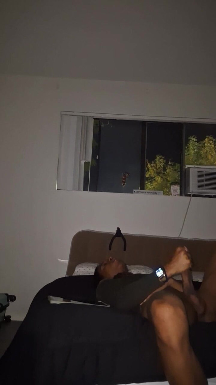 LordDashunKH: Пізня ніч ділдо і дрочка Sesh