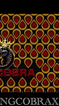 Cum Inside My Pussy King Cobra