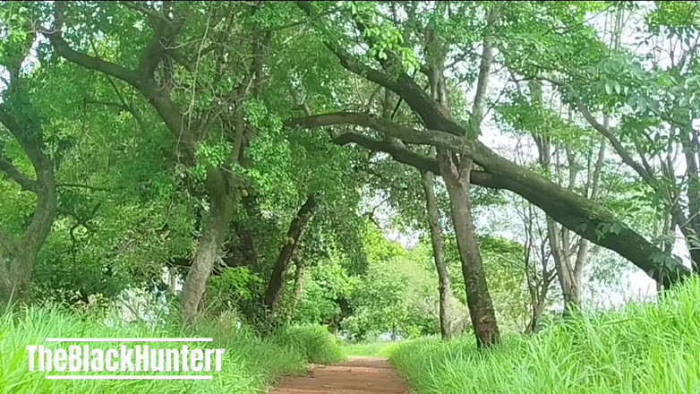 TheBlacKHunterr: सड़क पर हस्तमैथुन