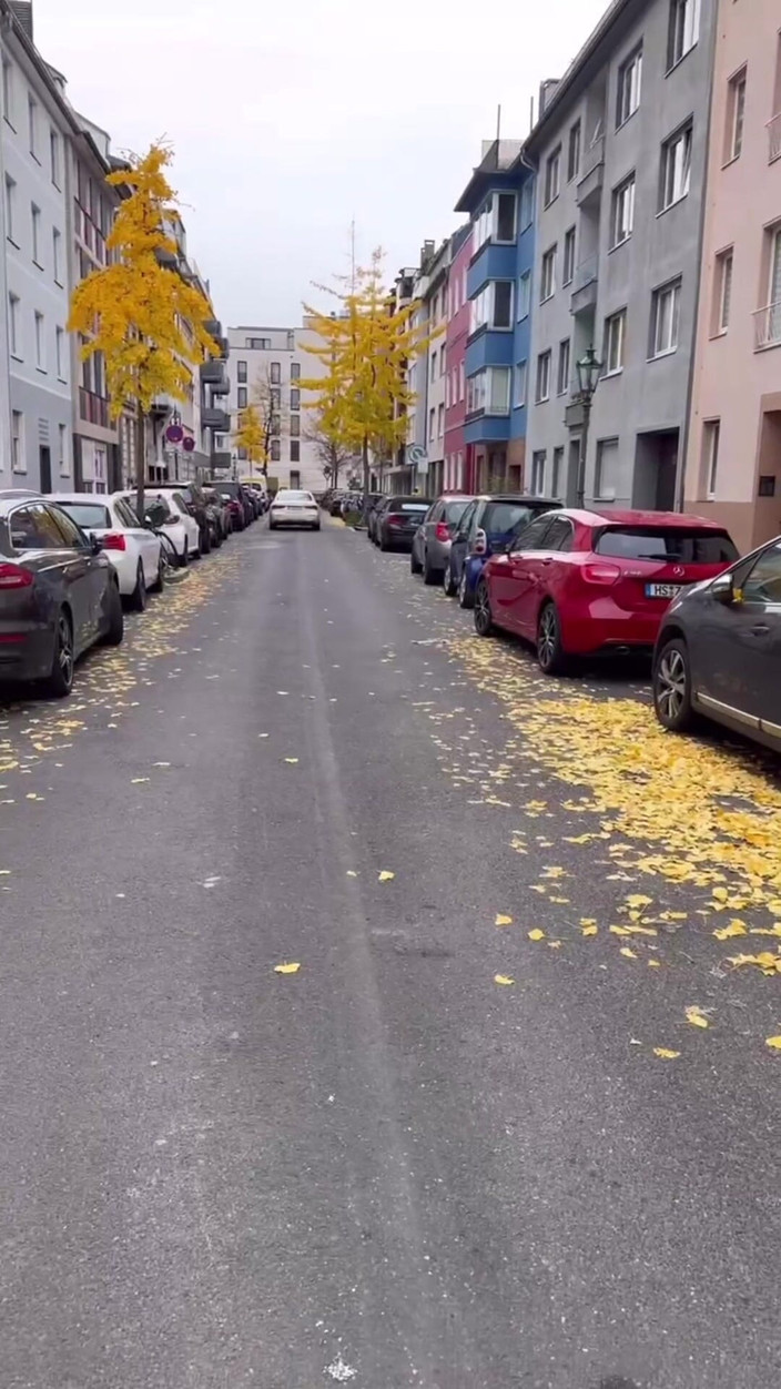 Elena917: Passeggiata in pubblico e esibizionismo in lingerie e calze