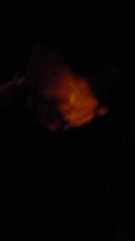 Blowjob in the Street