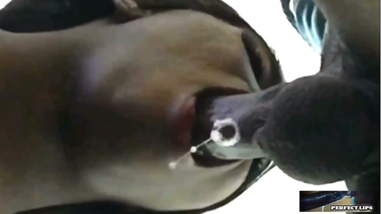 Wildwood21519: Cum in Mouth Compilation Prt.8