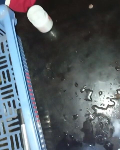 Badman4606: Cea mai mare pulă africană neagră sălbatică