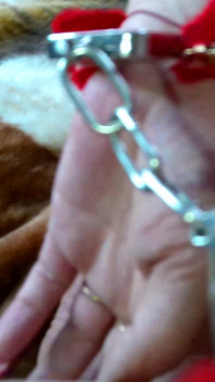 Pussy Masturbation in Bedroom