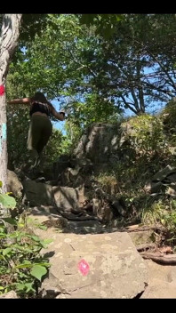 This Is a Fun Little Time in the Woods!