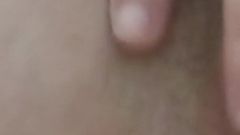 My Pussy