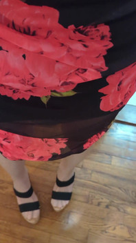 Do You Like My New Dress