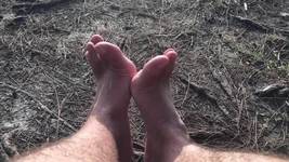 Beri aku rumah di antara pohon permen karet dengan banyak kaki silahkan - manlyfoot roadtrip