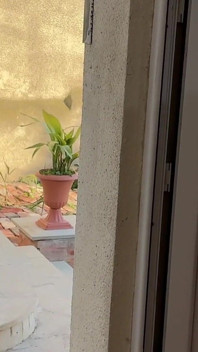 Video Completo Blanqueado Lindo Chico Jardinero Apretado Y Corrida
