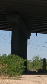 Slave Tih Shows Her Pussy and Tits Under the Bridge
