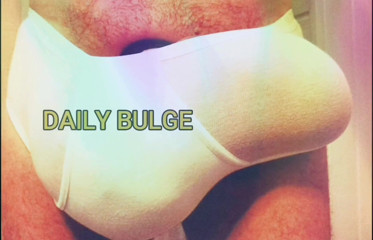 Monster_Meat_: Bulge of Belgium photocollage