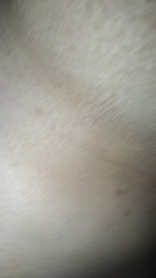 Creampied (Pitri)