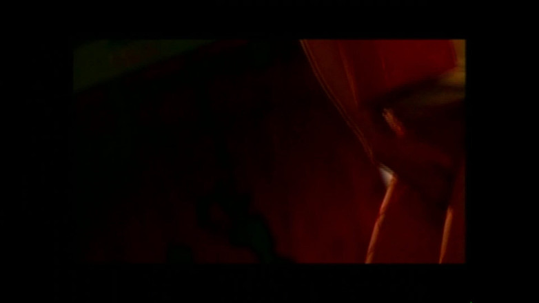 FM Video films: 珍娜·詹姆森收藏 - （原版完整版电影未删减版）