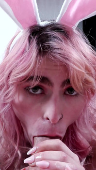 Trans Bunny Wiggles Fundul ăla