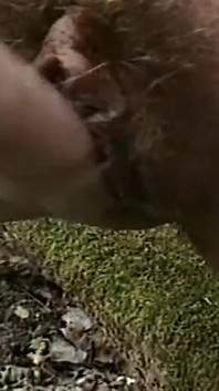 Dari Tiang ke Baka - Bahagian 01