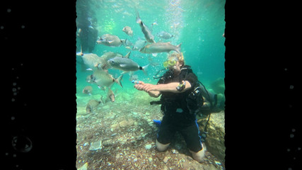 JessieHH: 图尔吉耶的潜水！自由